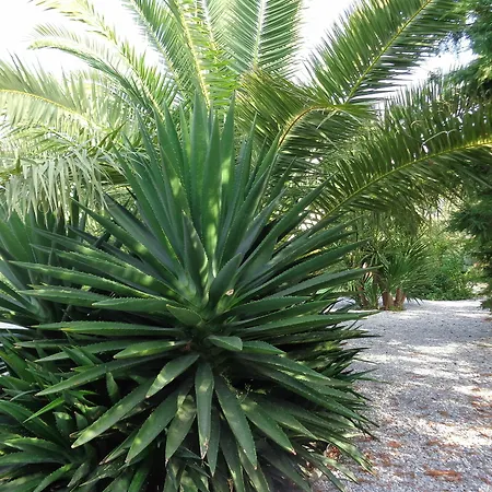 Valena Mare & Pláka