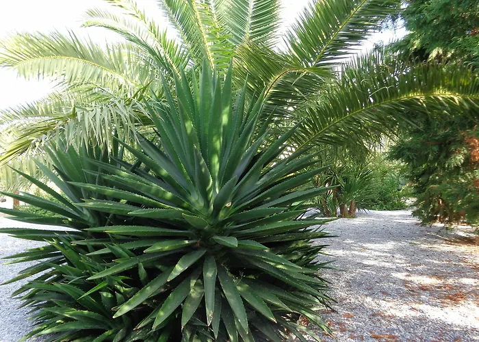 Valena Mare & Pláka